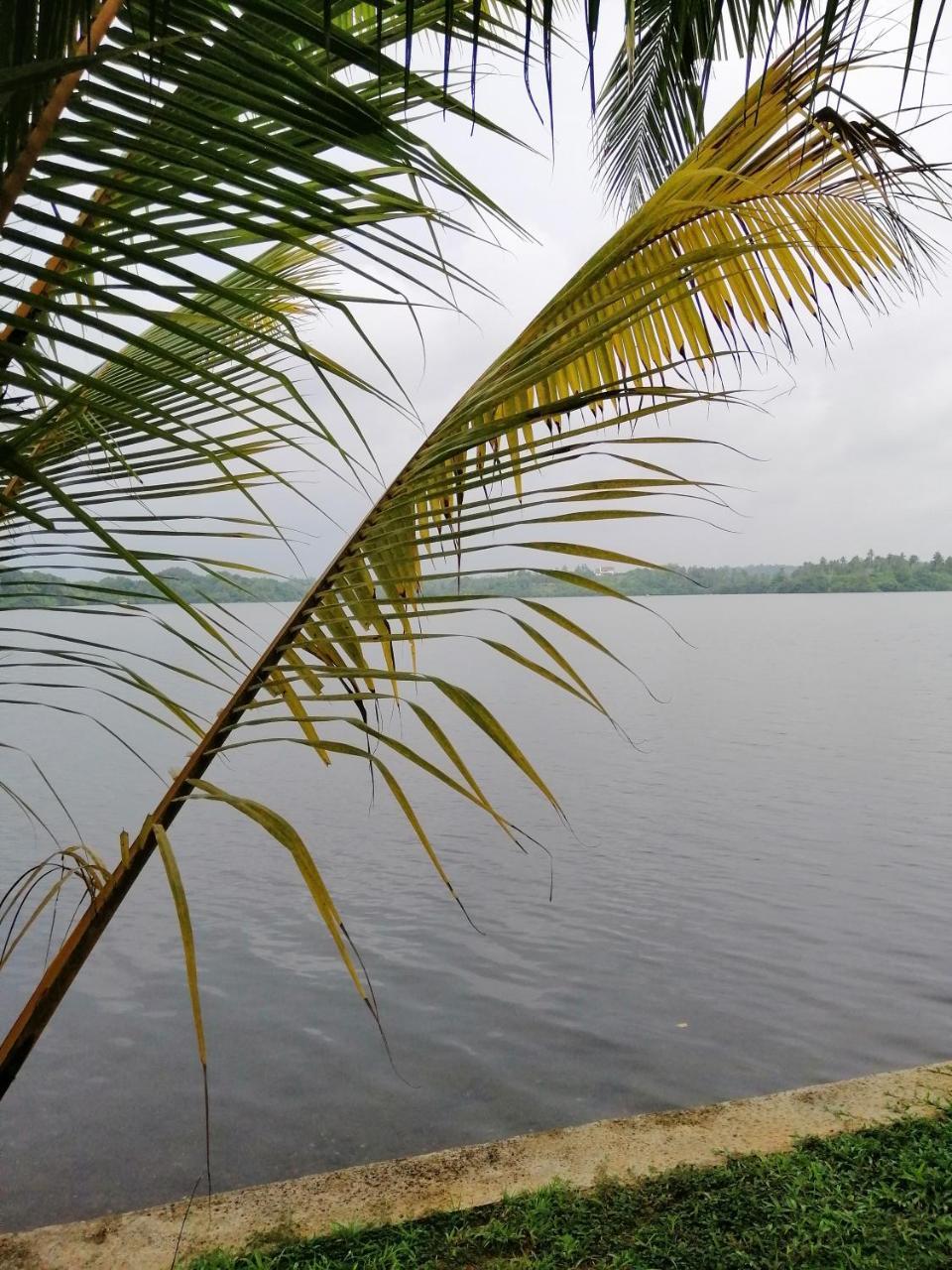Hikka Lagoon ฮิกคาดูวา ภายนอก รูปภาพ